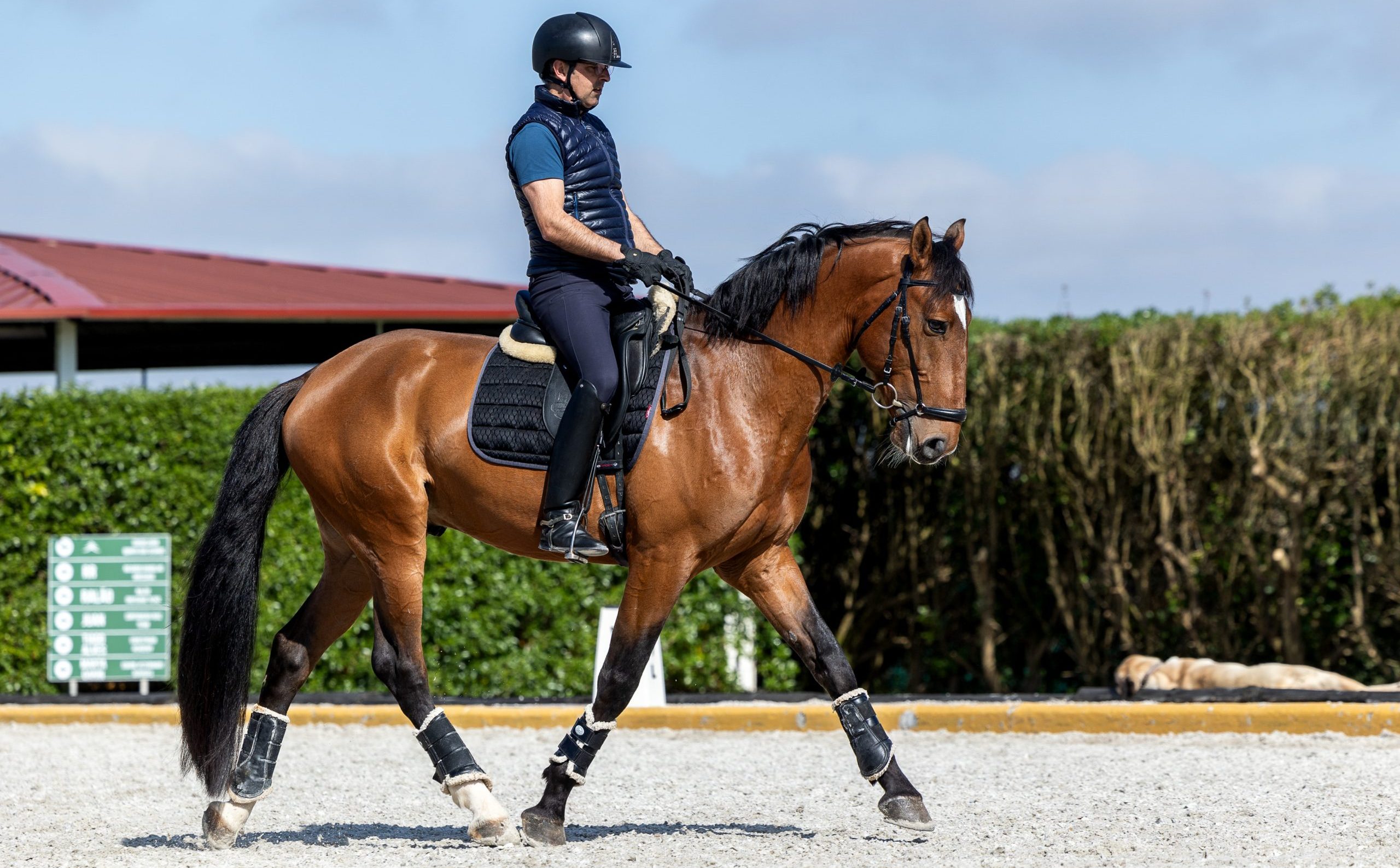 Raija_2025_alexandra-kellner.ch_1-2