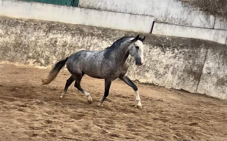 253_0000s_0000_Generatives Füllen