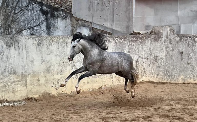 253_0000s_0001_Generatives Füllen 2