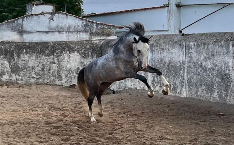 253_0000s_0002_Generatives Füllen 3