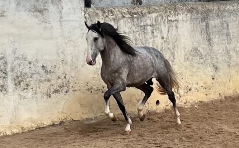 253_0000s_0003_Generatives Füllen 4