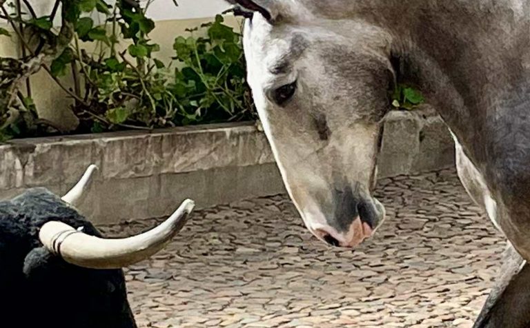 web_0000s_0000_WhatsApp Image 2025-12-01 at 17.41.49 (4)