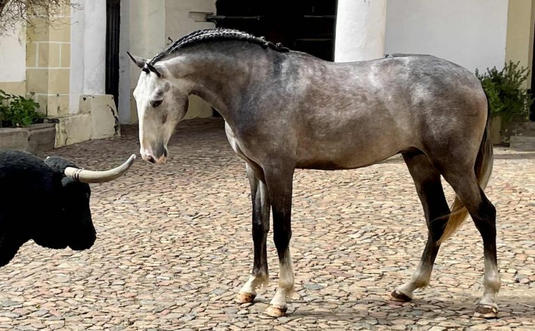 web_0000s_0001_WhatsApp Image 2025-12-01 at 17.41.49 (3)