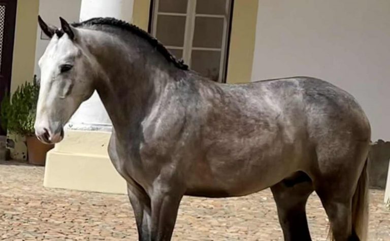 web_0000s_0002_WhatsApp Image 2025-12-01 at 17.41.49 (2)