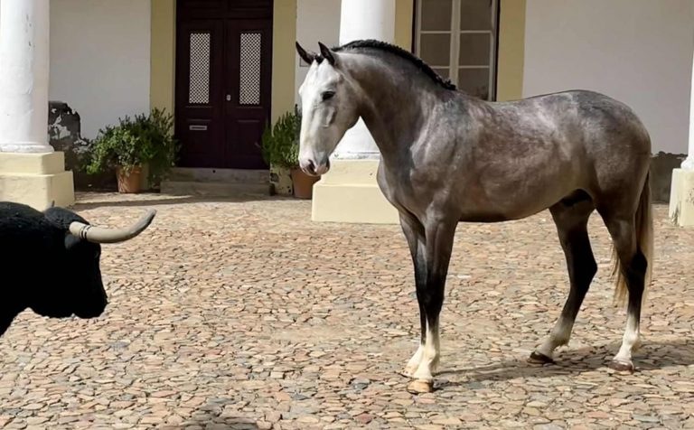 web_0000s_0003_WhatsApp Image 2025-12-01 at 17.41.49 (1)