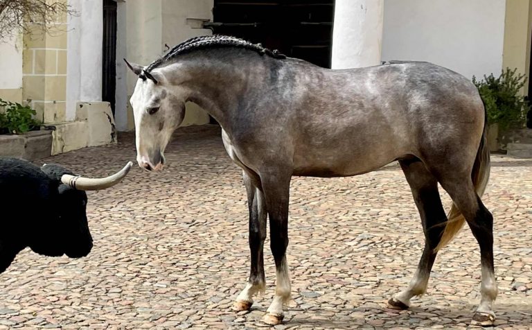 web_0000s_0004_WhatsApp Image 2025-12-01 at 17.41.49