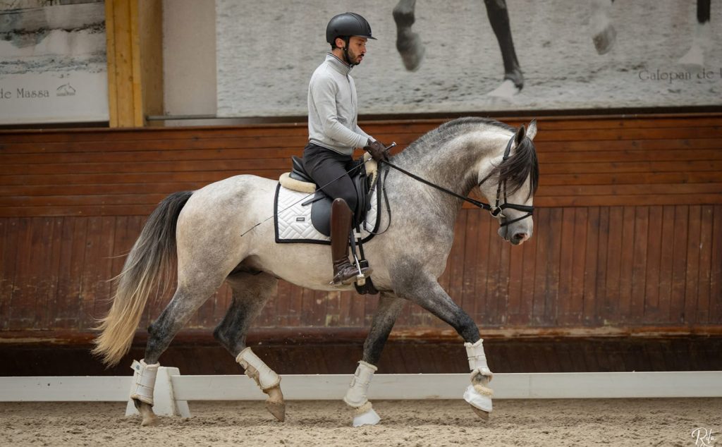 266_0000s_0001_WhatsApp Image 2026-03-14 at 17.32.11 (1)