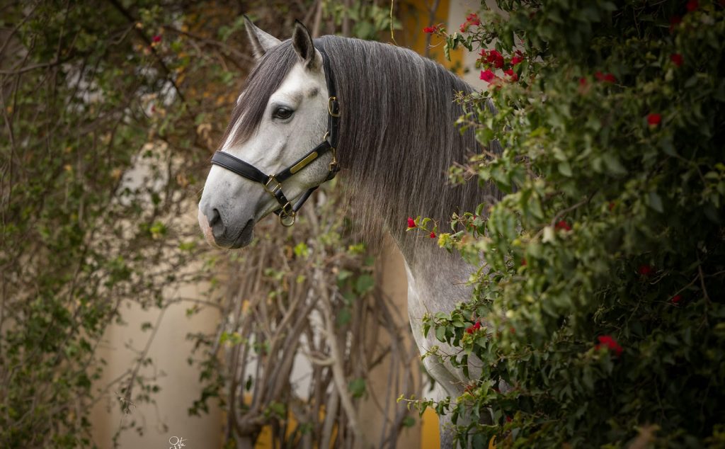 266_0000s_0002_Generatives Füllen