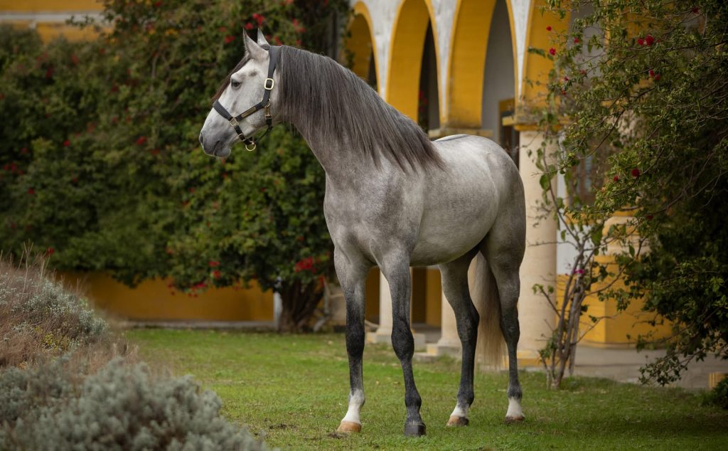 266_0000s_0003_Generatives Füllen 2