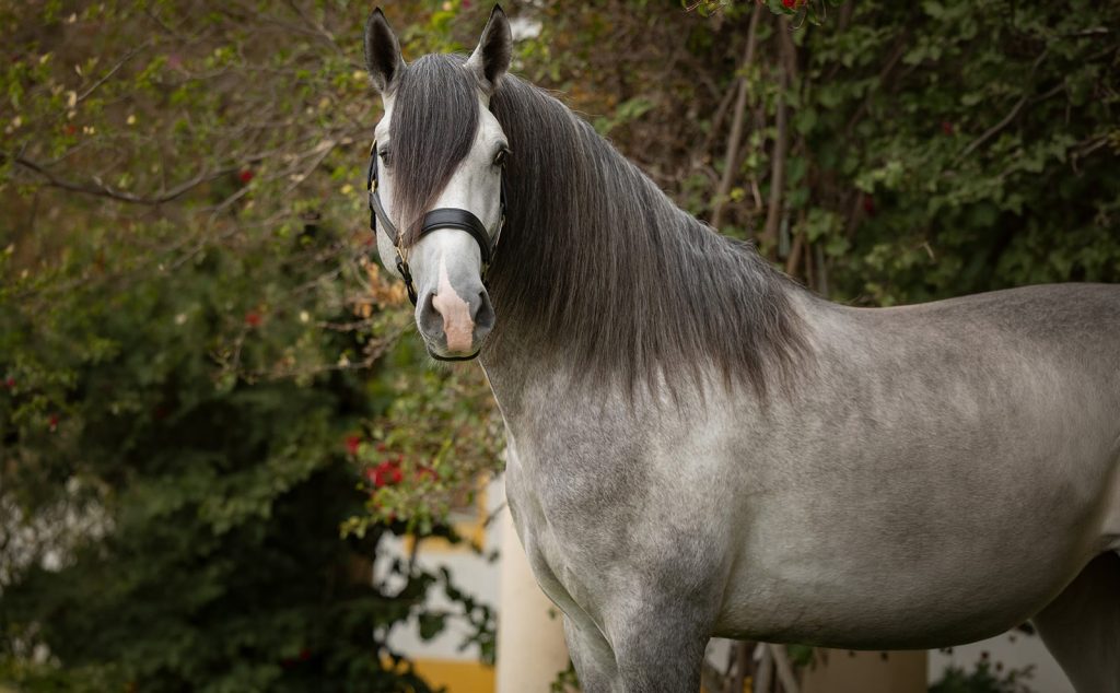 266_0000s_0004_Generatives Füllen 3