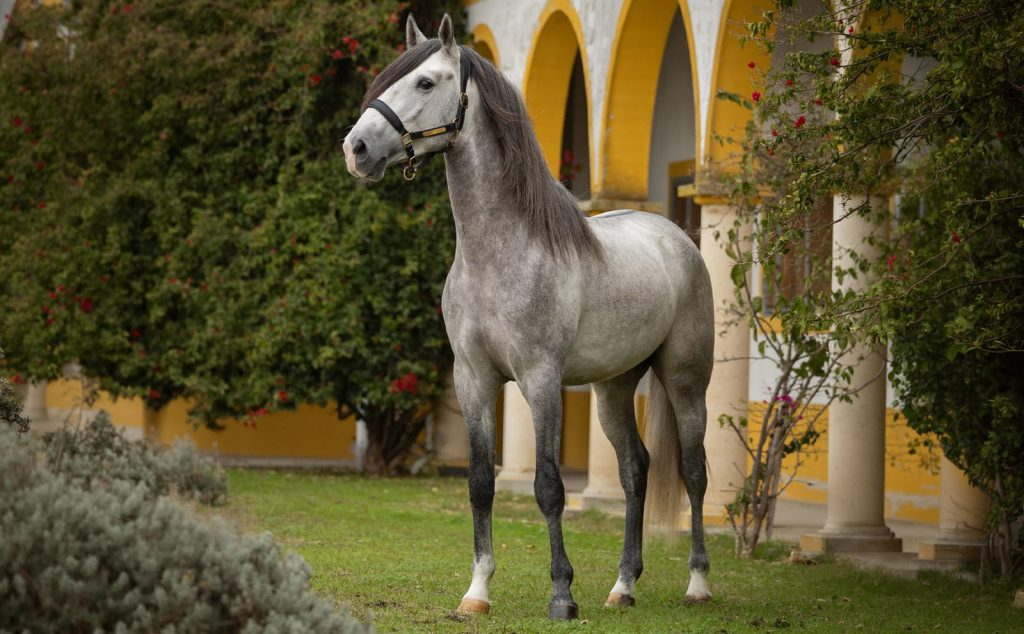 266_0000s_0005_Generatives Füllen 5