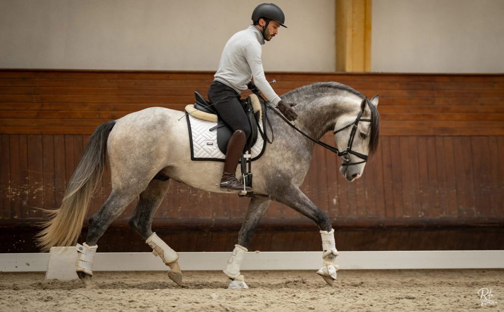 266_0000s_0006_WhatsApp Image 2026-03-14 at 17.32.11 (6)