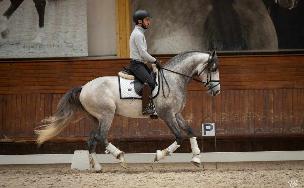 266_0000s_0008_WhatsApp Image 2026-03-14 at 17.32.11 (3)