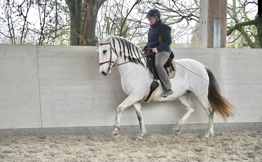 web_0000s_0000_DSC_0788