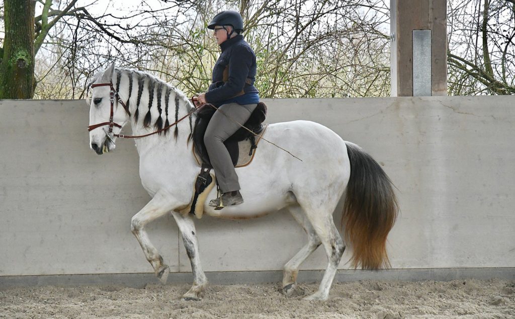 web_0000s_0001_DSC_0693