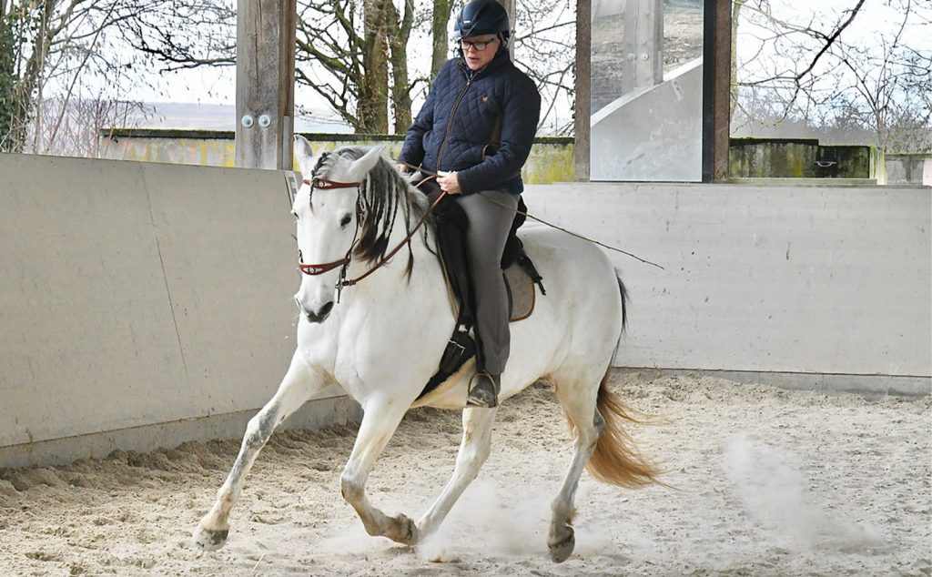 web_0000s_0002_DSC_0381