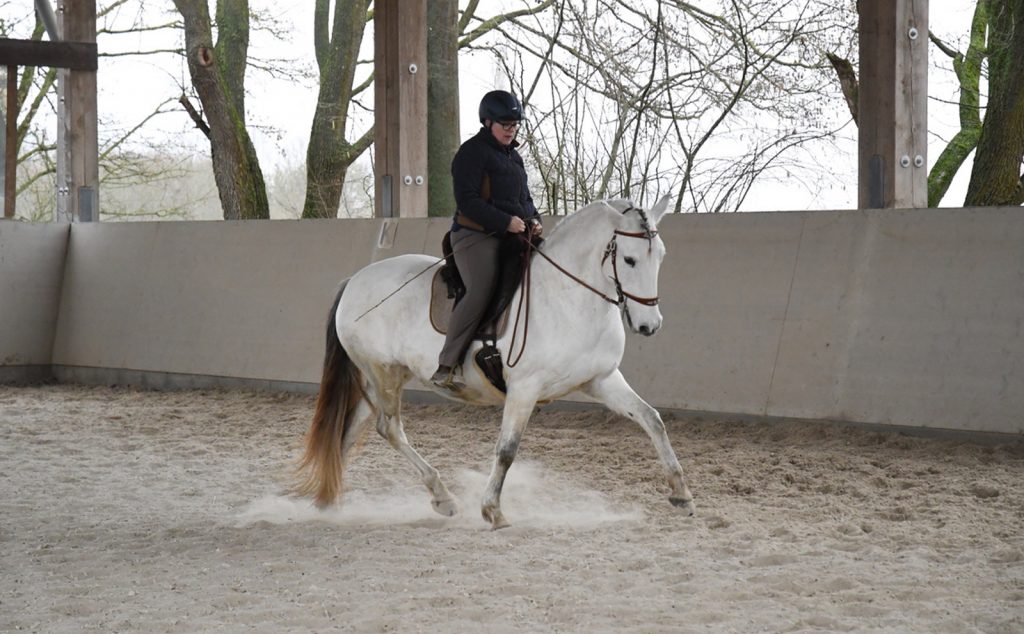 web_0000s_0004_DSC_0345