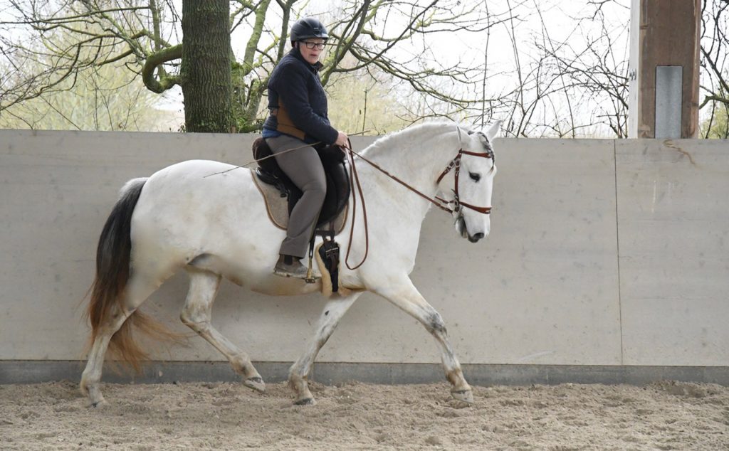 web_0000s_0005_DSC_0337