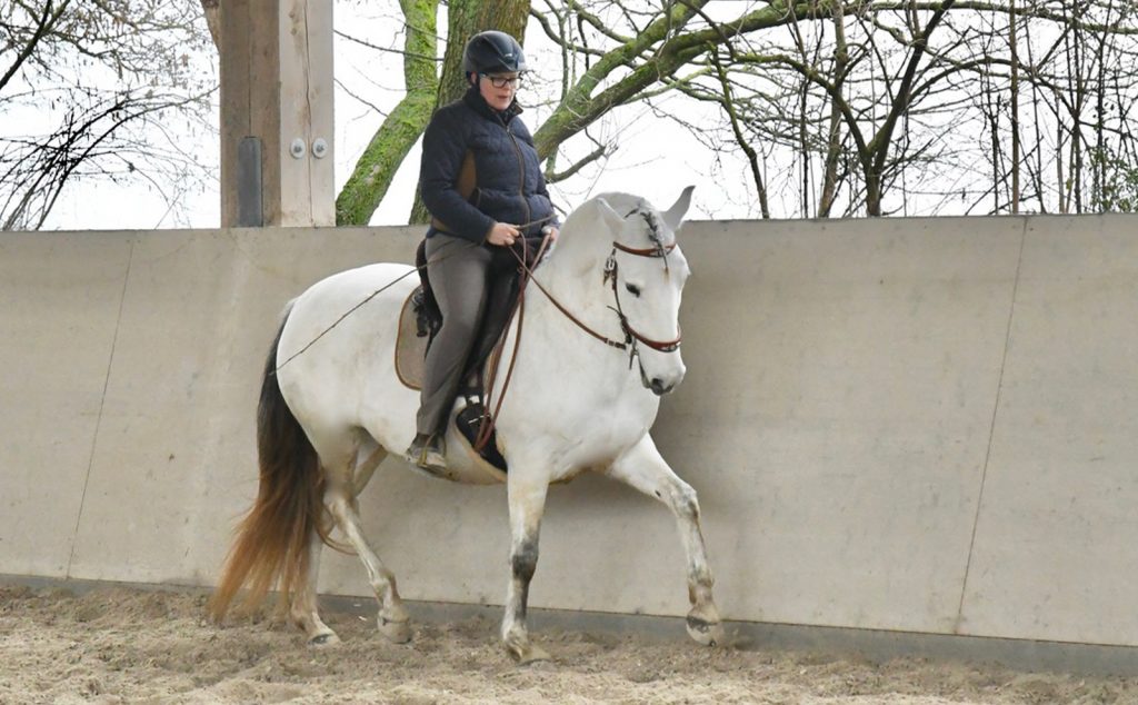 web_0000s_0006_DSC_0331