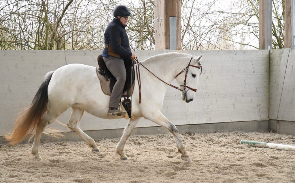 web_0000s_0007_DSC_0289