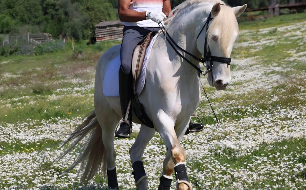 _0000s_0000_Generatives Füllen