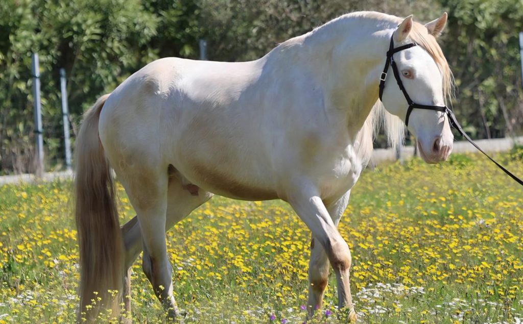 _0000s_0001_WhatsApp Image 2026-04-02 at 19.05.19 (2)