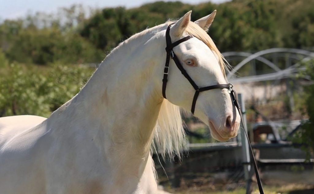 _0000s_0002_Generatives Füllen 3