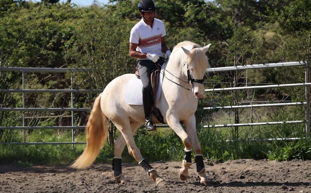 _0000s_0003_Generatives Füllen 4