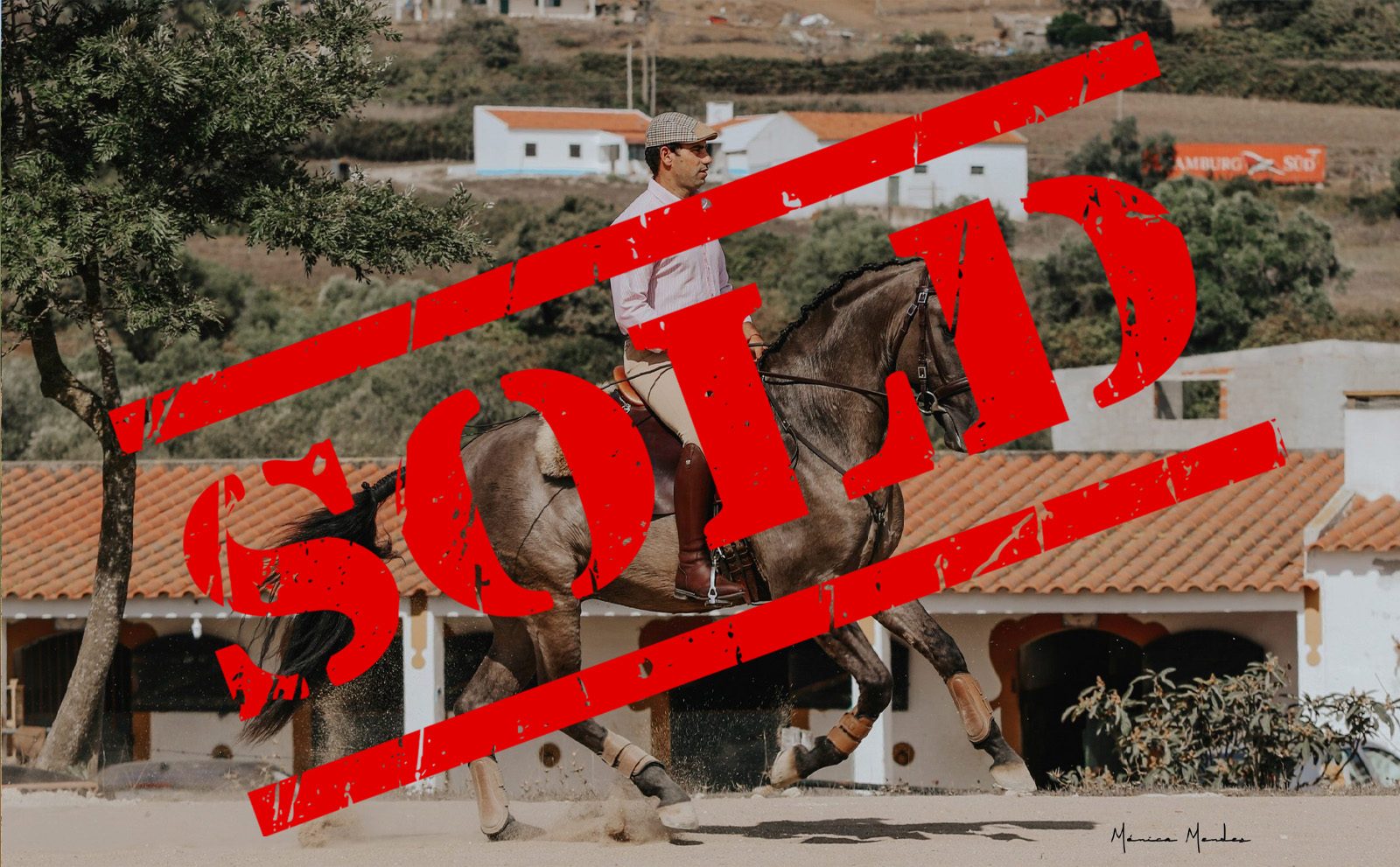 093A1069-scaled-e1762278106156