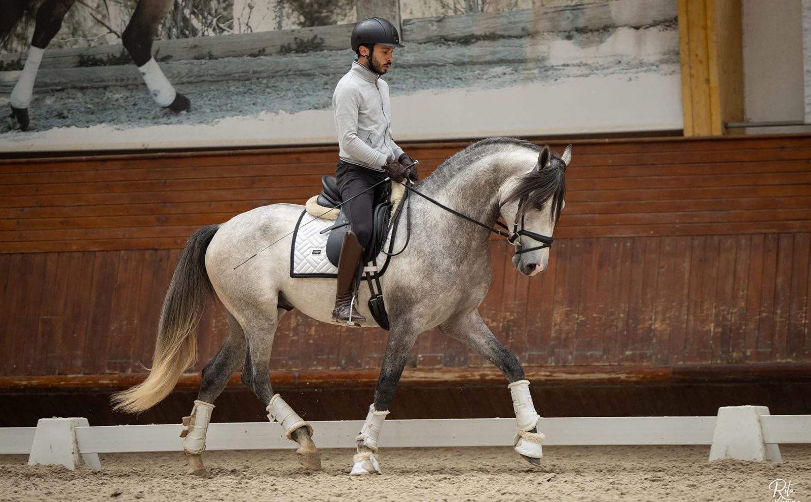 266_0000s_0000_WhatsApp Image 2026-03-14 at 17.32.11 (2)