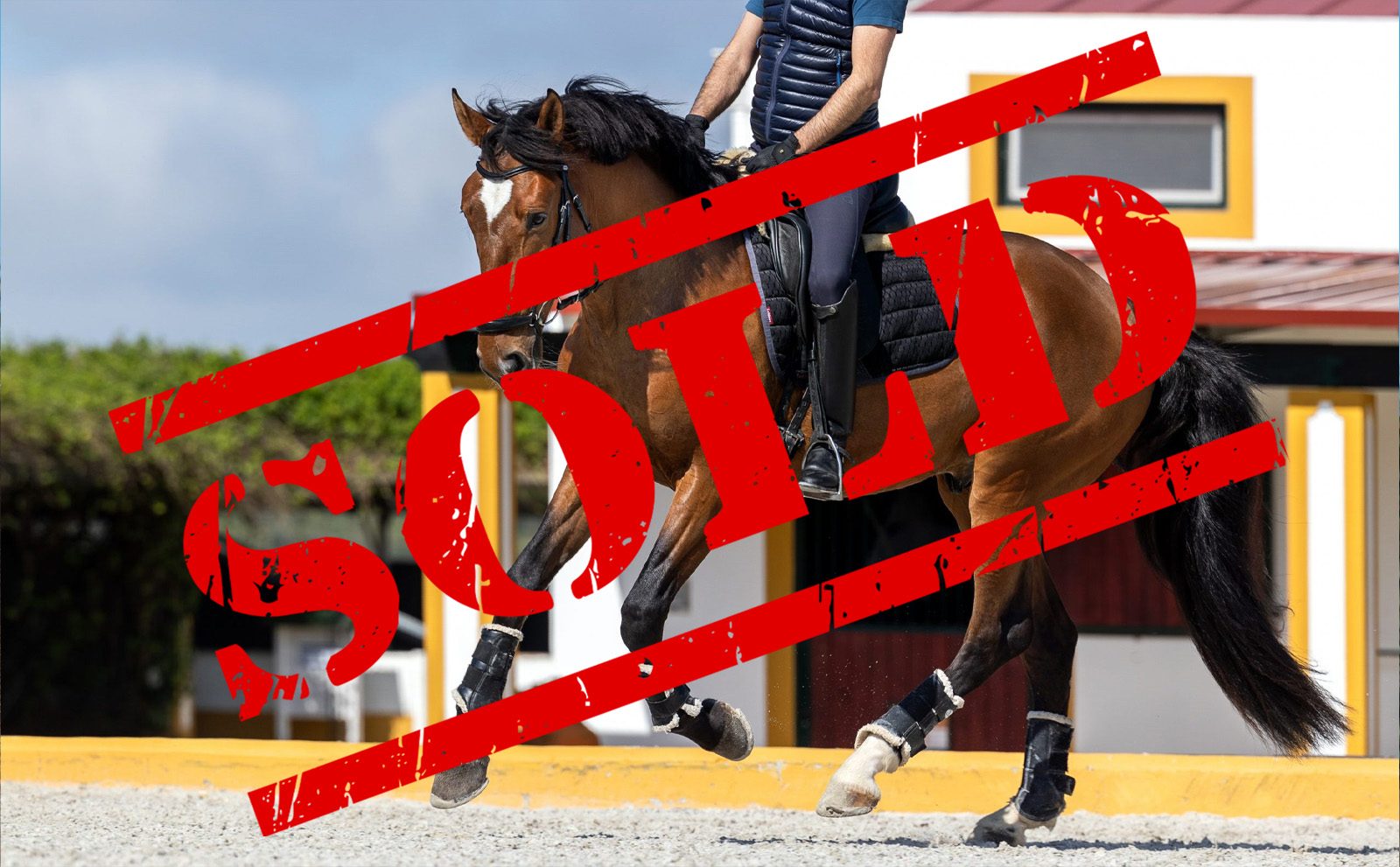 Raija_2025_alexandra-kellner.ch_1-1-scaled-e1744963517974